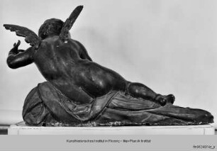Putten : Geflügelter Putto