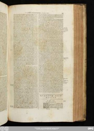 Quartum Argumentum. Cap. IV.