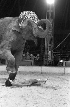 Gastspiel des Circus Busch-Roland auf dem Karlsruher Messplatz