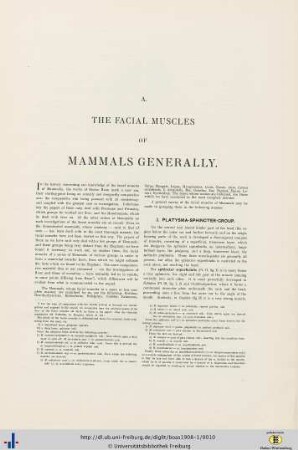 The Facial Muscles of Mammals generally.
