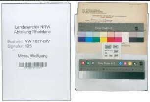 Entnazifizierung Wolfgang Mees , geb. (Regierungsbaurat)