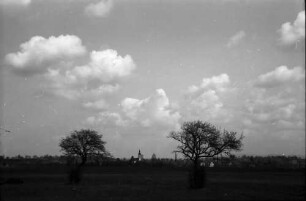 Hochdorf: Zwei Blütenbäume, dahinter Hochdorf
