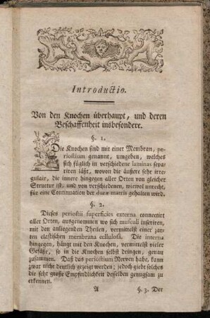 Introductio. Von den Knochen überhaupt, und deren Beschaffenheit insbesondere