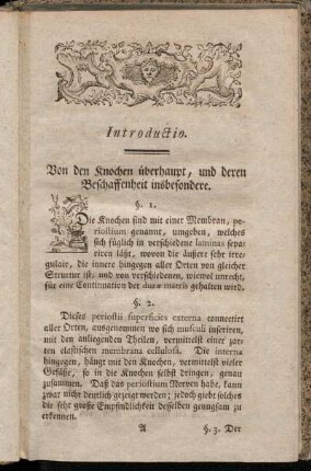 Introductio. Von den Knochen überhaupt, und deren Beschaffenheit insbesondere