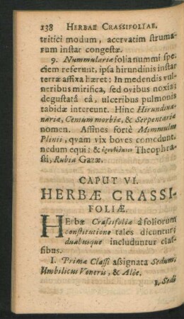 Caput VI. Herbae Crassifoliae.