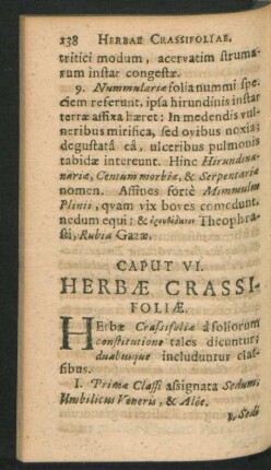 Caput VI. Herbae Crassifoliae.