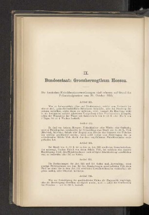 IX. Bundesstaat: Grossherzogthum Hessen.