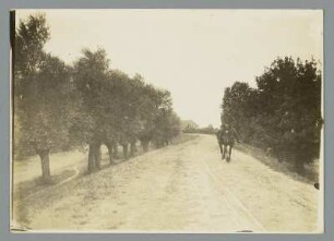 Feldweg mit Pferd und Reiter