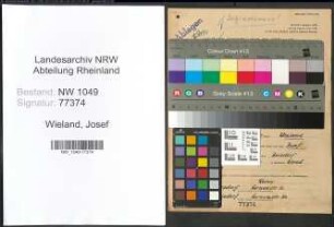 Entnazifizierung Josef Wieland , geb. 01.12.1892 (Vorzeichner)