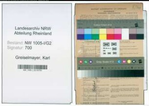 Entnazifizierung Karl Greiselmayer , geb. 05.09.1907 (Ingenieur)