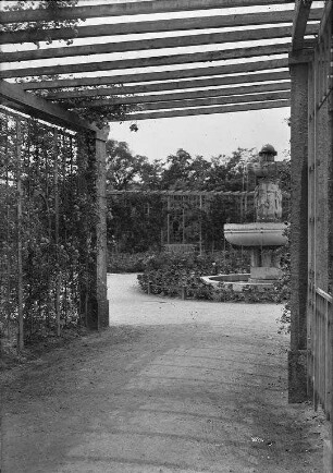 Stadtgarten - Rosengarten
