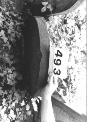 Grabstein 493