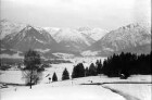 Oberstdorf: Blick von Reute auf den Talkessel von Oberstdorf