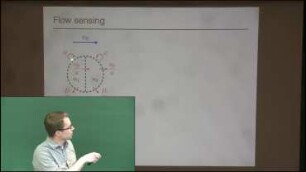 Self-communicating cancer cells