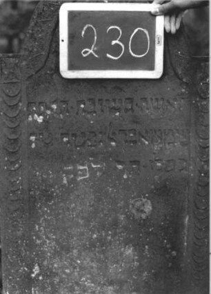 Grabstein 230 (Index: 99894712) Material: Sandstein Zustand: gut, leicht bewachsen Maße HxBxT: 106x56x8 cm Beschreibung: Stele mit eingezogenem Rundbogenabschluss Symbolik: Blüte, Schuppenmuster: Grabstein 230 (2)