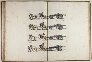 Fig. I. - Parade