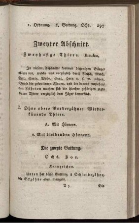 Zweyte Gattung. Ochs. B o s.