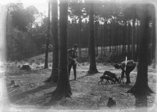 Jäger mit Hunden im Wald bei der Spurensuche