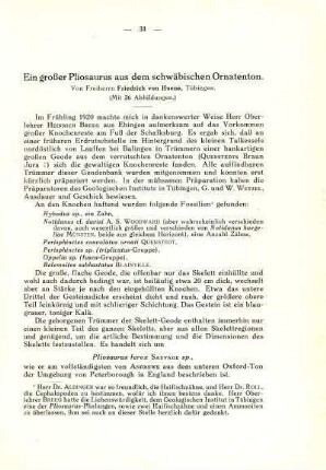 Ein großer Pliosaurus aus dem schwäbischen Ornatenton