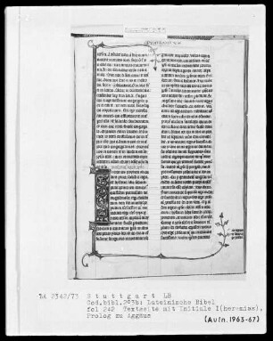 Lateinische Bibel, drei Bände — Initiale I (heremias), Folio 242recto