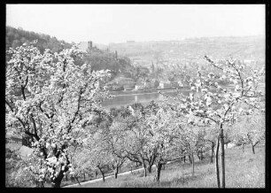 Blick durch Bäume auf Stadtgebiet