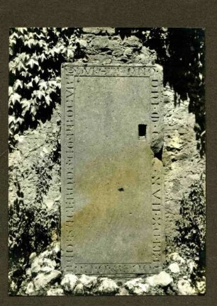 bei Göllheim, Klosterruine. Grabstein des Priesters und Prokurators Conrad, +1217