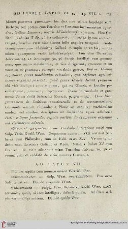Ad caput VII
