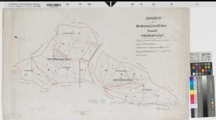 Lützel-Bilstein (Hilchenbach) Oberförsterei Forstschutzbezirk Sektion 2 Schutzbezirk Lützel um 1900 (1 : 2500) 55 x 93 Zeichnung KSA Nr. 1693