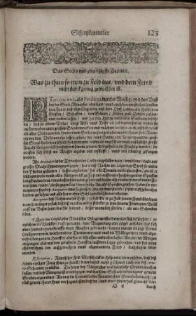 Das Sechs und zwantzigste Capittel. - Das dreyssigste Capittel.