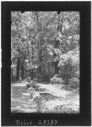 Riesa. Stadtpark