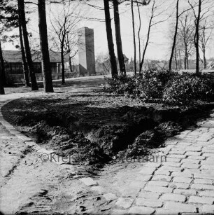 Vandalismus: Bürgerpark: beschädigte Sträucher am Hallenbad: vorn Fahrzeugspuren: rechts und links Weg: hinten links Gebäude