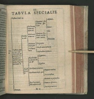 III. Tabvla Specialis