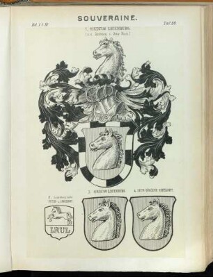 Taf. 28. 1. Herzogtum Lauenburg. (n.e. Zeichnung v. Oskar Roick.) - 2. Lauenburg'ische Ritter- u. Landschaft. - 3. Herzogtum Lauenburg. - 4. Unter Dänischer Herrschaft.