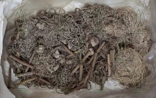 Fischnetz