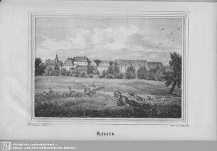 Kauern
