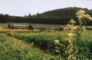 Fotografie: Stallsystem, Betriebsgebäude, Siedlungswesen