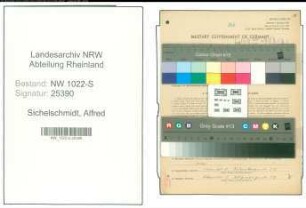 Entnazifizierung Alfred Sichelschmidt , geb. 10.07.1899 (Buchhalter)