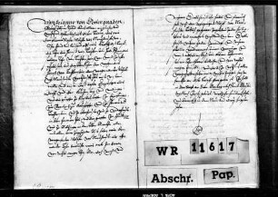 Bischof Johann von Chur belehnt Wolf von Neuhausen mit Engstingen und Zugehörde (wie WR 11 616).