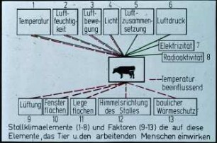 Stallklimaelemente (1-8) und Faktoren (9-13) die auf diese Elemente, das Tier und den arbeitenden Menschen einwirken