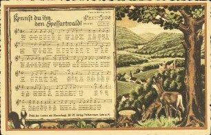 Kennst du ihn, den Spessartwald?