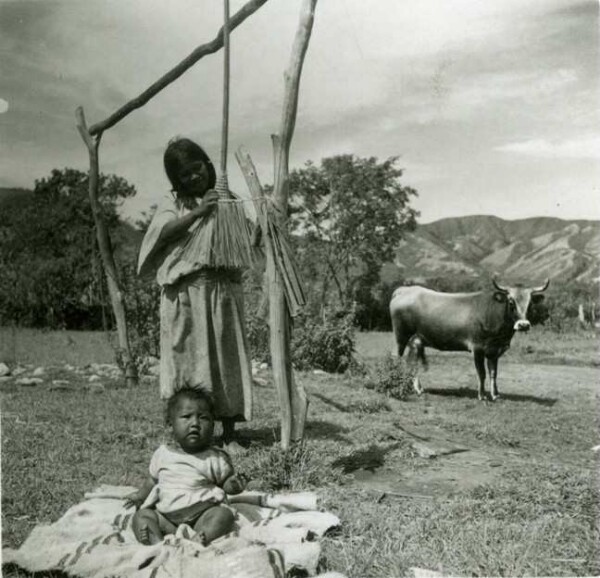 Arhuaco woman tying a palm broom.