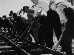 Szene aus dem DEFA-Dokumentarfilm "Dresden": Bau der Albertbrücke