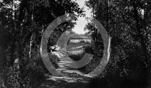 Park Groß-Essern