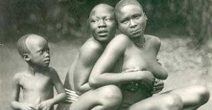 Kehre wieder, Afrika!