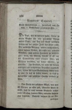 Neuntes Capitel. Große Metamorphose. - Zurückkunft nach Europa. [...]