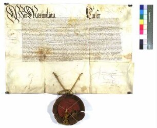 Kaiser Maximilian II. bestätigt alle Sebastian Schertel von Burtenbach verliehenen Freiheiten.