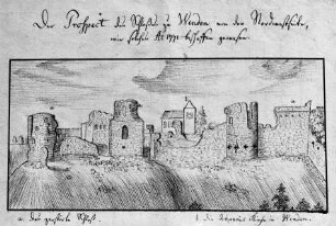 Schloßruine Wenden