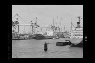 Columbus Tasmania ex Santa Rosa (1976), HSDG, Hamburg
