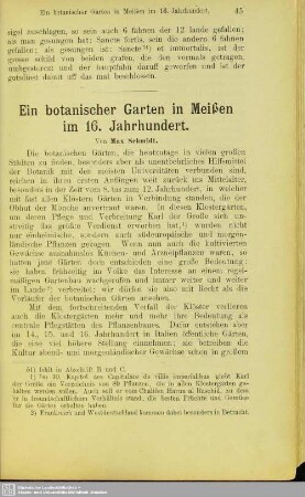 Ein botanischer Garten in Meißen im 16. Jahrhundert