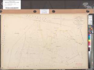 Urkarte der Flur 19 (Scheidriede) der Katastergemeinde Dielingen (Untergemeinde Drohne)